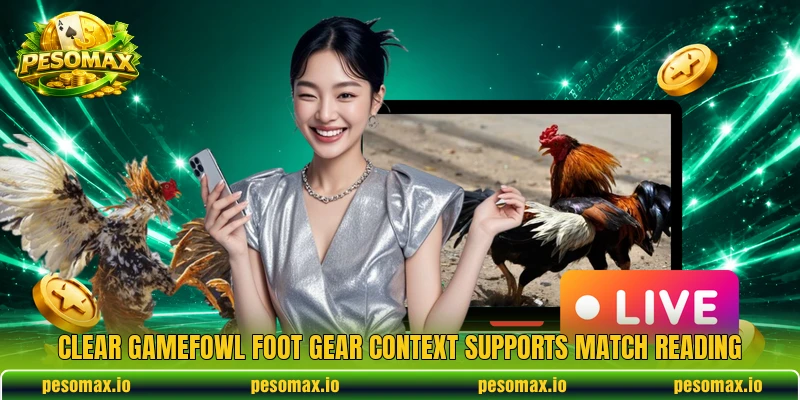 Clear Gamefowl foot gear context supports match reading