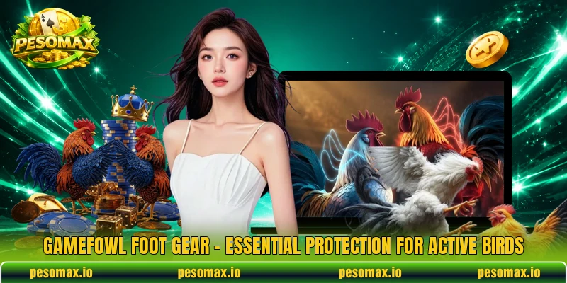 Gamefowl Foot Gear – Essential Protection For Active Birds