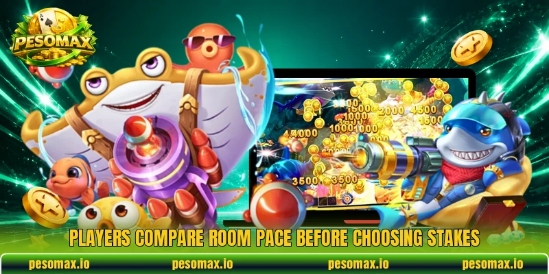 Players compare room pace before choosing stakes