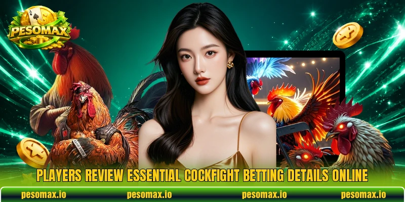 Players review essential cockfight betting details online